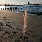 Ostseesonne - 5-sterne-urlaub Mit Balkon Direkt An Der Ostsee * Zingst